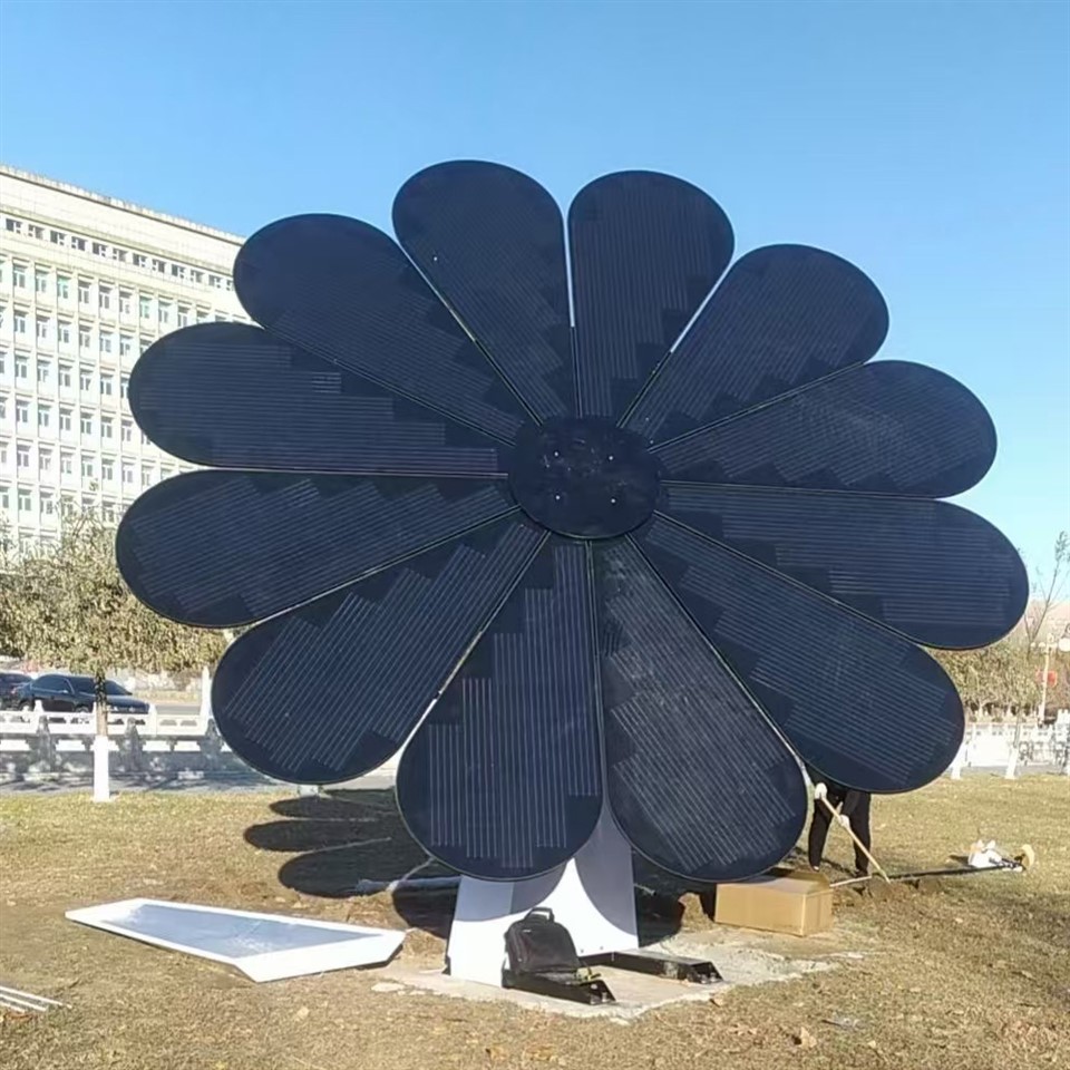 Draagbaar zonnepaneel 60W